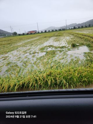 趙吉衍님의 자유주제 · 자유게시판 작성글 사진