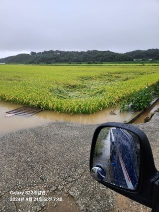 趙吉衍님의 자유주제 · 자유게시판 작성글 사진