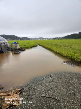 趙吉衍님의 자유주제 · 자유게시판 작성글 사진