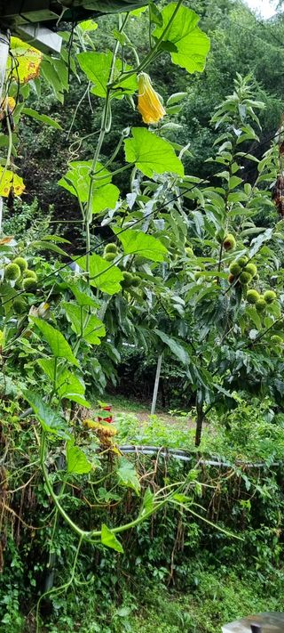 달방구님의 자유주제 · 자유게시판 작성글 사진