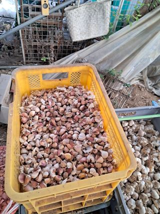 농부의약속님의 자유주제 · 자유게시판 작성글 사진