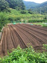 팜모닝 · 게시글 이미지