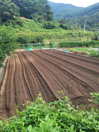 동길니우스님의 작성글 사진