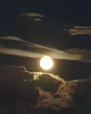 함영숙 님의 한가위, 덕담을 나눠주세요 · 참여글 작성글 사진