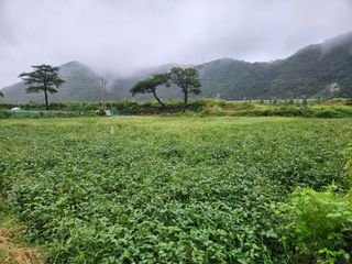 호산님의 농사, 무엇이든 물어보세요! · 참여글 작성글 사진