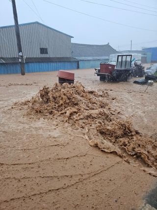 유병규님의 자유주제 · 사진전 작성글 사진