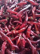 팜모닝 자유주제·자유게시판 게시글 이미지