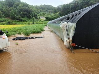 성실한농장님의 자유주제 · 자유게시판 작성글 사진