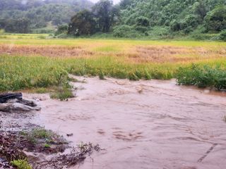 성실한농장님의 자유주제 · 자유게시판 작성글 사진
