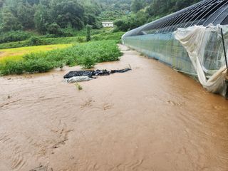 성실한농장님의 자유주제 · 자유게시판 작성글 사진
