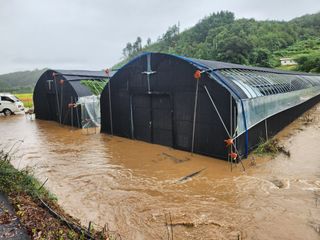 성실한농장님의 자유주제 · 자유게시판 작성글 사진