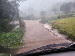 성실한농장님의 자유주제 · 자유게시판 작성글 사진