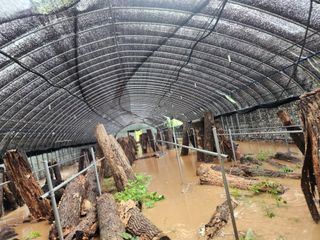 성실한농장님의 자유주제 · 자유게시판 작성글 사진