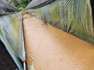 성실한농장님의 자유주제 · 자유게시판 작성글 사진