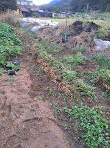 팜모닝 자유주제·자유게시판 게시글 이미지