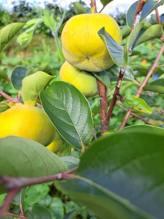 좋은인연원님의 자유주제 · 자유게시판 작성글 사진