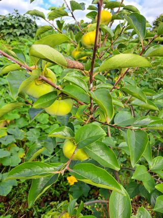 좋은인연원님의 자유주제 · 자유게시판 작성글 사진