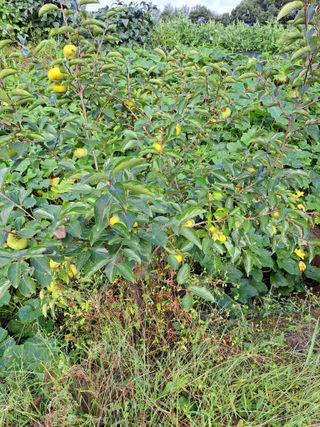 좋은인연원님의 자유주제 · 자유게시판 작성글 사진
