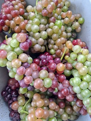 경선님의 자유주제 · 자유게시판 작성글 사진