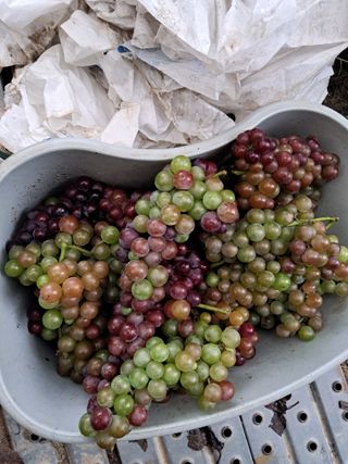 경선님의 자유주제 · 자유게시판 작성글 사진