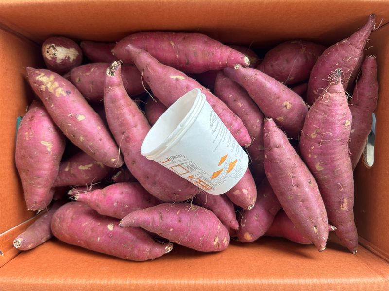 이영민님의 장터 판매 상품 [무안 황토밭 꿀고구마 예쁜못난이 10kg ] 첨부 사진