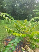 팜모닝 자유주제·자유게시판 게시글 이미지