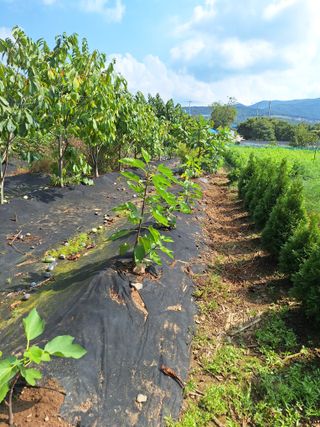 박종열님의 자유주제 · 자유게시판 작성글 사진