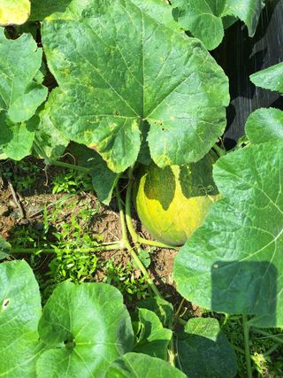 박종열님의 자유주제 · 자유게시판 작성글 사진