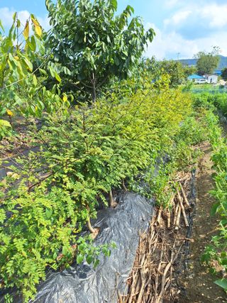 박종열님의 자유주제 · 자유게시판 작성글 사진