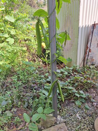 박종열님의 자유주제 · 자유게시판 작성글 사진