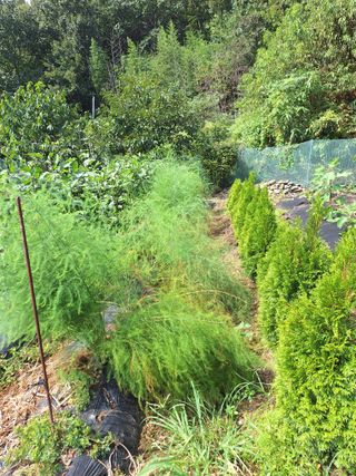 박종열님의 자유주제 · 자유게시판 작성글 사진