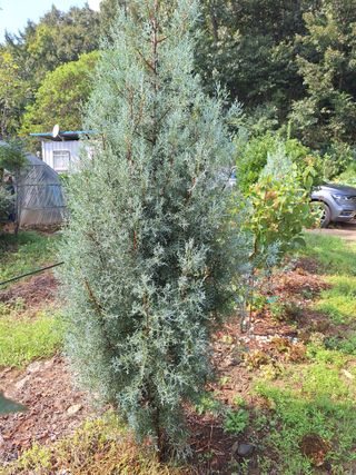 박종열님의 자유주제 · 자유게시판 작성글 사진