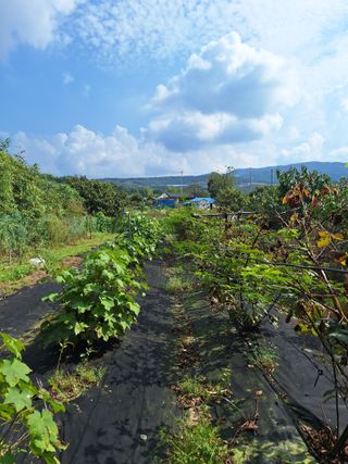 박종열님의 자유주제 · 자유게시판 작성글 사진
