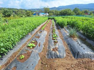 박종열님의 자유주제 · 자유게시판 작성글 사진