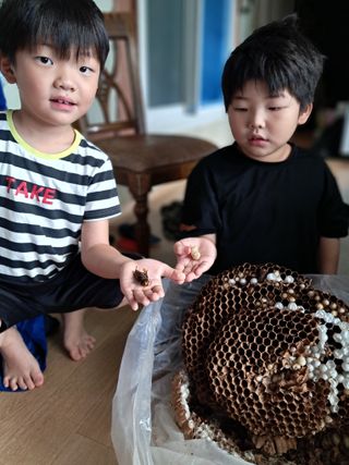 천년의사랑님의 한가위, 덕담을 나눠주세요 · 참여글 작성글 사진