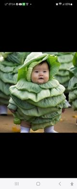 팜모닝 · 게시글 이미지