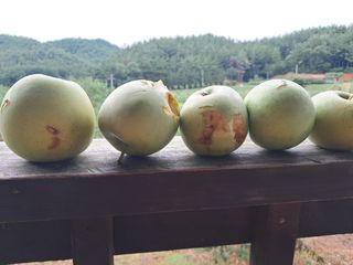 별빛농장지기님의 자유주제 · 자유게시판 작성글 사진