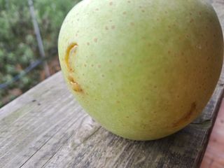 별빛농장지기님의 자유주제 · 자유게시판 작성글 사진