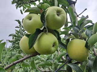 별빛농장지기님의 자유주제 · 자유게시판 작성글 사진