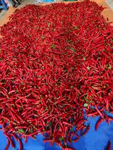 팜모닝 · 게시글 이미지