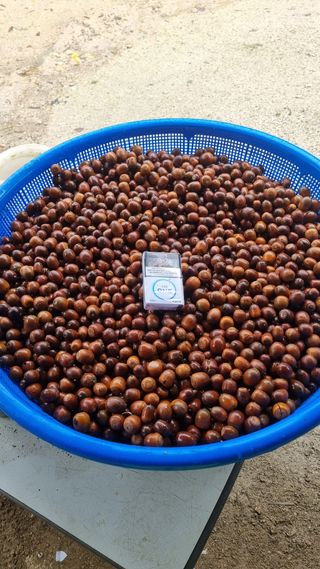 강신철님의 자유주제 · 자유게시판 작성글 사진