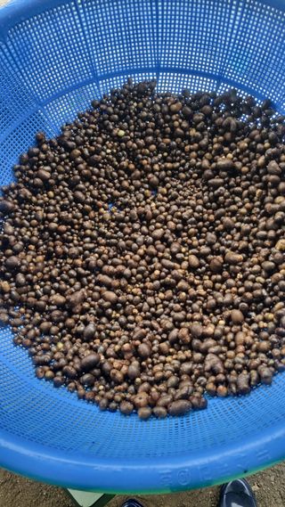 강신철님의 자유주제 · 자유게시판 작성글 사진