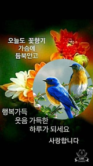 알 수 없음님의 한가위, 덕담을 나눠주세요 · 참여글 작성글 사진