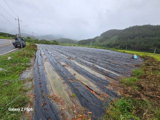 박현주님의 파 · 영농일지 작성글 사진