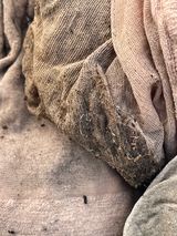 팜모닝 상추·병해충상담 게시글 이미지