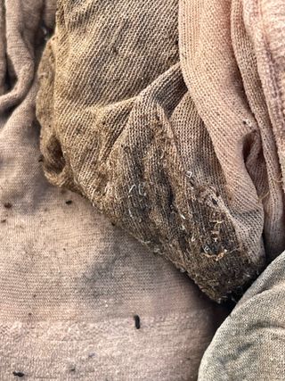 임슬기님의 상추 · 병해충상담 작성글 사진