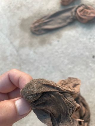 임슬기님의 상추 · 병해충상담 작성글 사진