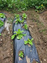 팜모닝 자유주제·사진전 게시글 이미지