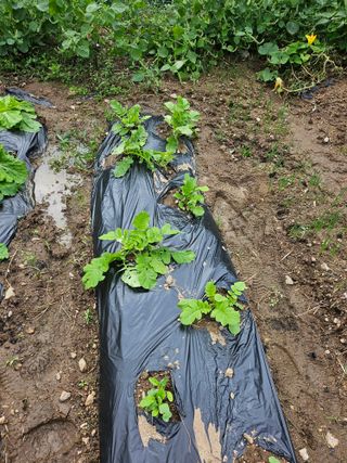 이원복님의 자유주제 · 사진전 작성글 사진