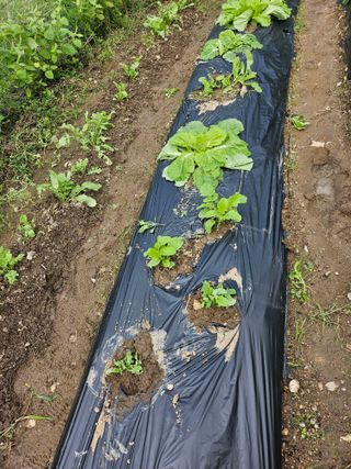 이원복님의 자유주제 · 사진전 작성글 사진